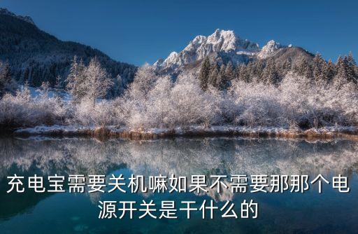 充電寶需要關(guān)機(jī)嘛如果不需要那那個(gè)電源開(kāi)關(guān)是干什么的