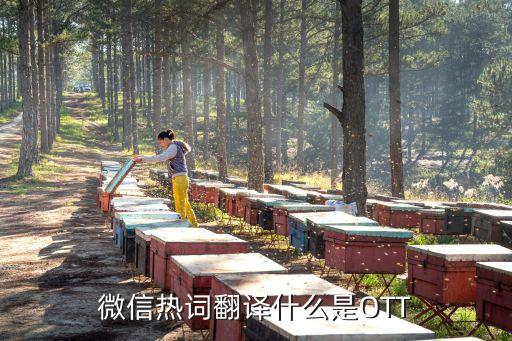 微信熱詞翻譯什么是OTT