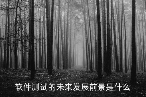 軟件測(cè)試的未來(lái)發(fā)展前景是什么