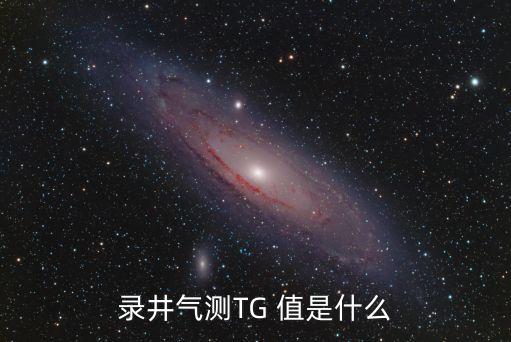 錄井氣測(cè)TG 值是什么