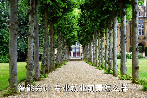 什么叫財務自動化專業(yè)的
