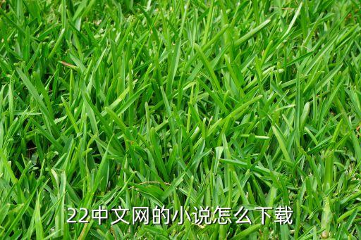 22中文網(wǎng)，22中文網(wǎng)的小說怎么下載