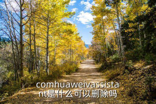 comhuaweivassistant是什么可以刪除嗎