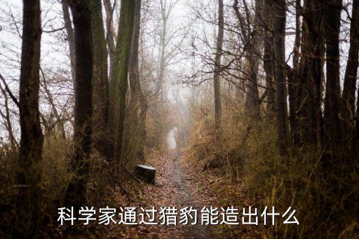 mit獵豹機(jī)器人中國(guó),研究:獵豹可造出跑步機(jī)器人