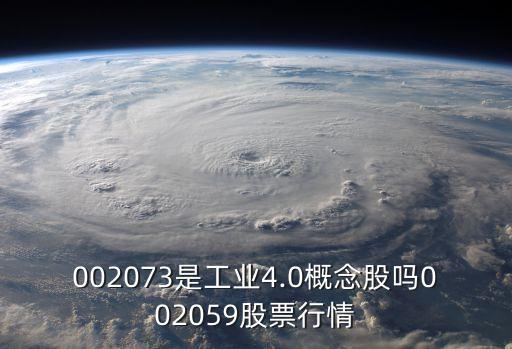 002073是工業(yè)4.0概念股嗎002059股票行情