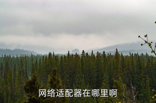 網(wǎng)絡(luò)適配器在哪里啊
