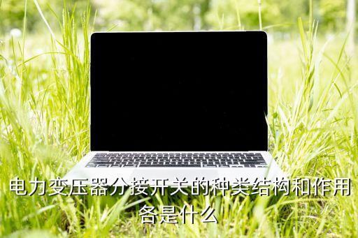 電力變壓器分接開關(guān)的種類結(jié)構(gòu)和作用各是什么