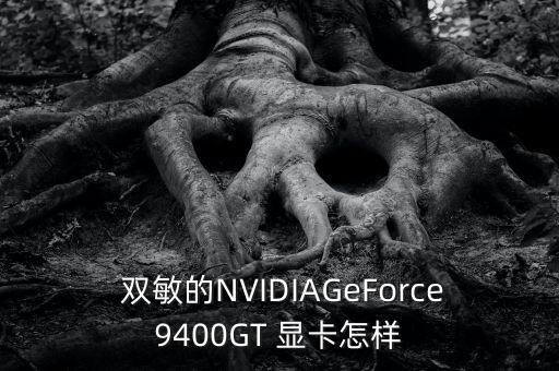  雙敏的NVIDIAGeForce9400GT 顯卡怎樣