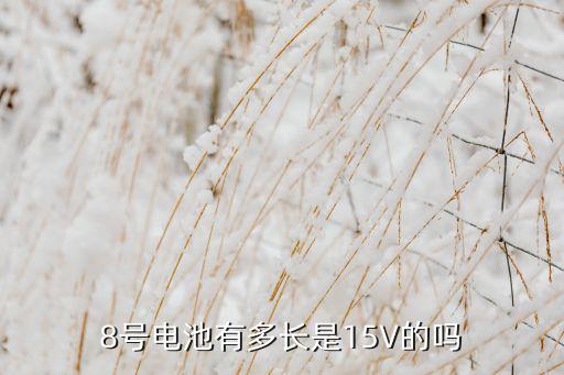 8號(hào)電池有多長(zhǎng)是15V的嗎