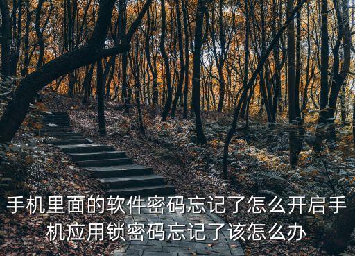 應(yīng)用密碼,怎么用忘記密碼解鎖?