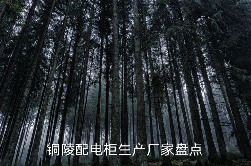 銅陵配電柜生產(chǎn)廠家盤點(diǎn)