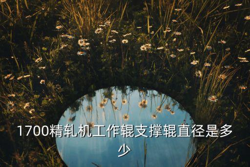 1700精軋機工作輥支撐輥直徑是多少