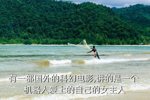 robin機(jī)器人中文,小學(xué)英語機(jī)器人robin圖片