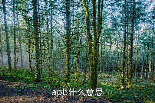 apb什么意思