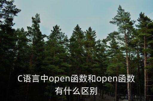 C語(yǔ)言中open函數(shù)和open函數(shù)有什么區(qū)別