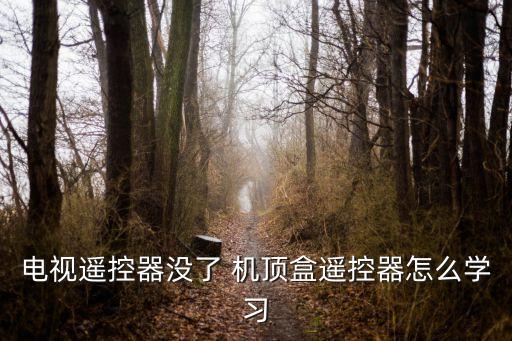 電視遙控器沒了 機頂盒遙控器怎么學習