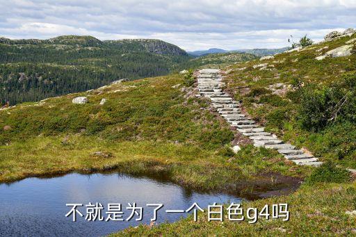 不就是為了一個(gè)白色g4嗎