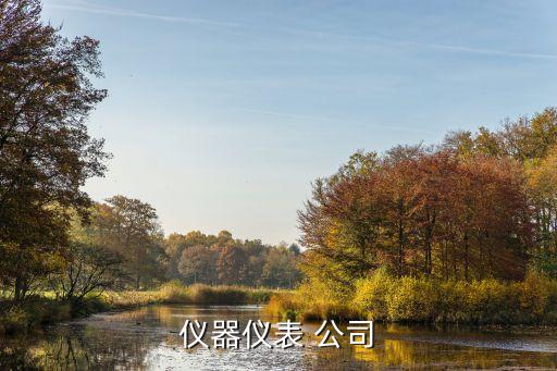 自動(dòng)化檢測(cè)產(chǎn)品有哪些公司,電站自動(dòng)化裝置有哪些產(chǎn)品