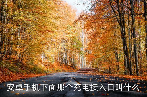 安卓手機(jī)下面那個(gè)充電接入口叫什么