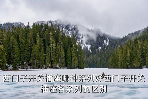 西門子電氣自動(dòng)化上海,西門子開關(guān)插座怎么樣?