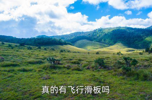 真的有飛行滑板嗎