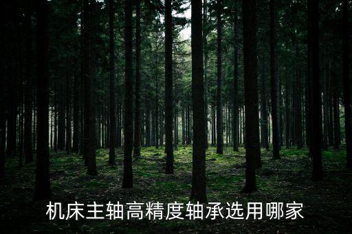 精密機床主軸軸承，機床主軸常用的滾動軸承有哪些結構類型