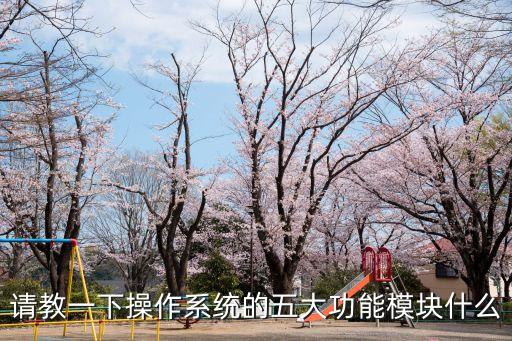 請(qǐng)教一下操作系統(tǒng)的五大功能模塊什么