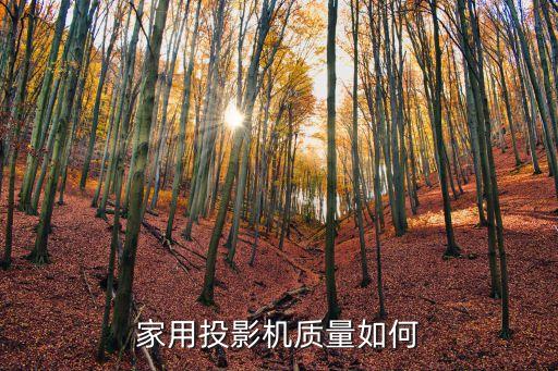 家用投影機質(zhì)量如何