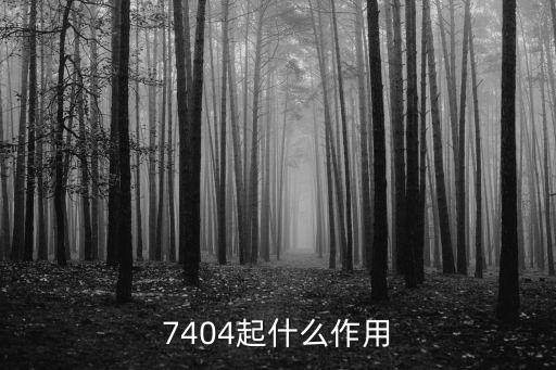 7404起什么作用