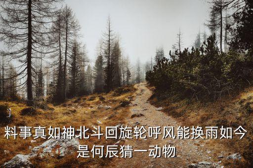 料事真如神北斗回旋輪呼風(fēng)能換雨如今是何辰猜一動物