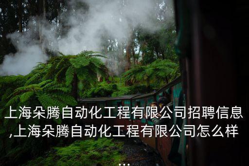 上海朵騰自動化工程有限公司招聘信息,上海朵騰自動化工程有限公司怎么樣...