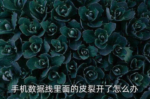 手機(jī)數(shù)據(jù)線里面的皮裂開了怎么辦