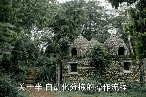關(guān)于半 自動(dòng)化分揀的操作流程