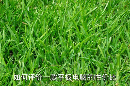 如何評價一款平板電腦的性價比