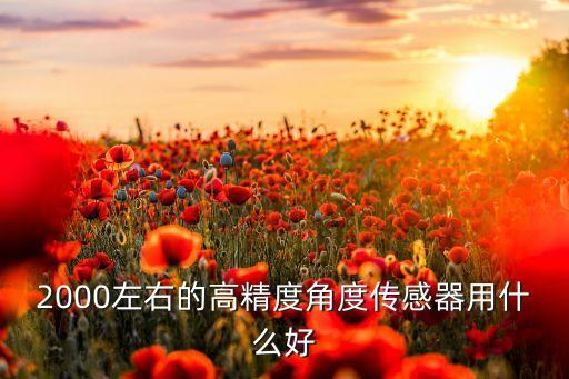 2000左右的高精度角度傳感器用什么好