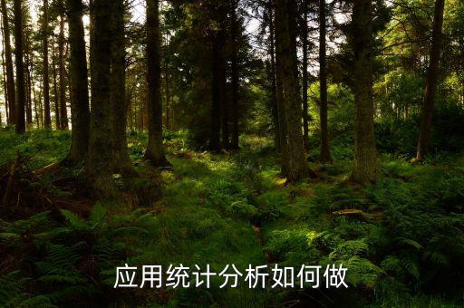 應(yīng)用統(tǒng)計(jì)分析如何做