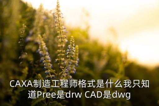 CAXA制造工程師格式是什么我只知道Pree是drw CAD是dwg