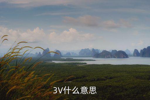 3v，什么是3v說詳細(xì)點