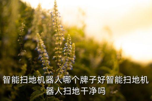 智能掃地機器人哪個牌子好智能掃地機器人掃地干凈嗎