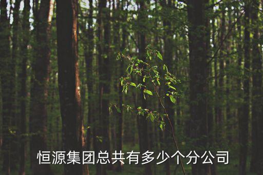  恒源集團(tuán)總共有多少個(gè)分公司