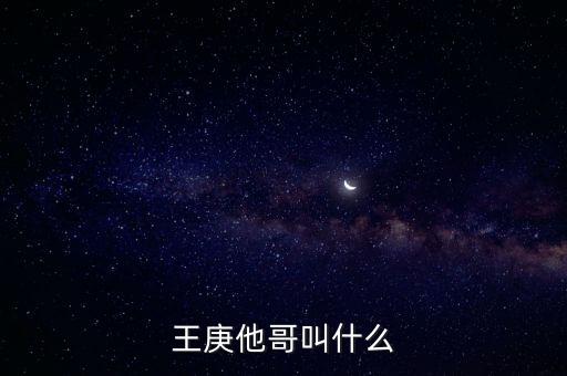 王庚他哥叫什么