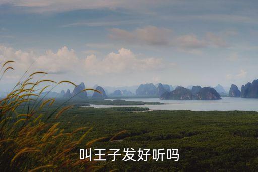 王子發(fā)，叫王子發(fā)好聽嗎