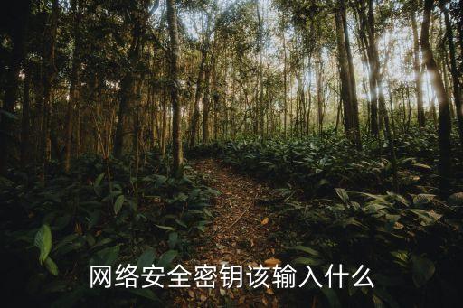 網(wǎng)絡(luò)密鑰，什么是網(wǎng)絡(luò)安全密鑰