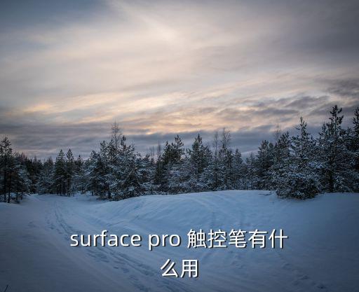 觸控筆，微軟平板電腦觸控筆怎么樣