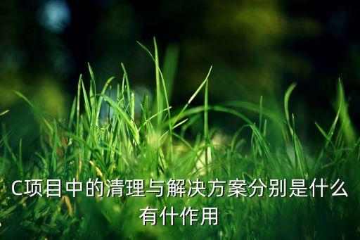 解決方案，C項(xiàng)目中的清理與解決方案分別是什么有什作用