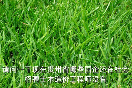 請問一下現(xiàn)在貴州省哪些國企還在社會招聘土木造價工程師沒有