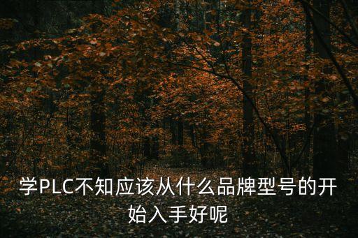 學(xué)PLC不知應(yīng)該從什么品牌型號的開始入手好呢