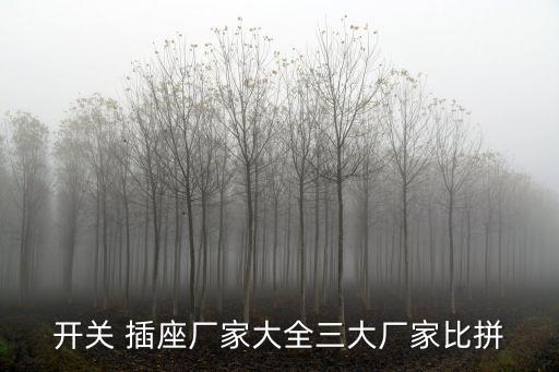 開關(guān) 插座廠家大全三大廠家比拼