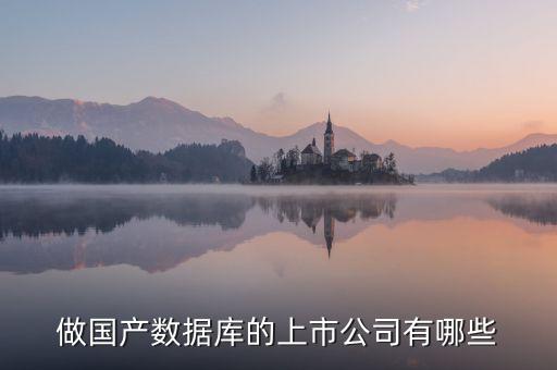 做國(guó)產(chǎn)數(shù)據(jù)庫(kù)的上市公司有哪些