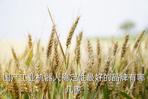 國(guó)產(chǎn)工業(yè)機(jī)器人穩(wěn)定性最好的品牌有哪幾家
